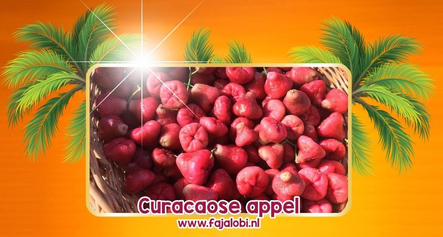 Curaçaose appel